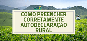 COMO-PREENCHER-CORRETAMENTE-AUTODECLARACAO-RURAL