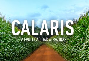 Calaris-bula