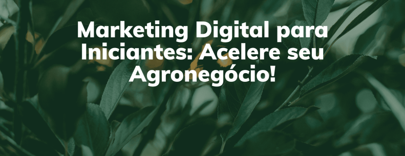 Marketing Digital para Iniciantes Acelere seu Agronegócio!